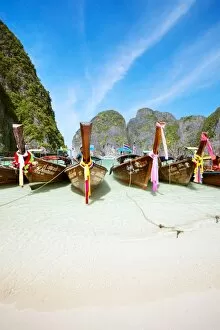 Images Dated 5th May 2017: Long tail boats on Maya bay beach, Ko Phi Phi, Thailand