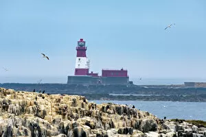 Images Dated 27th July 2018: Longstone Lighthouse, Farne Islands, UK
