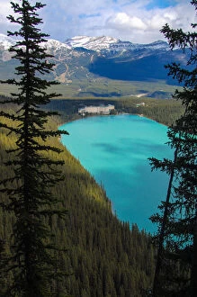 Turquoise Colored Collection: Looking down on Lake Louise