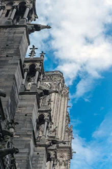 Images Dated 14th June 2014: Looking up at the side of Notre Dame Cathedral