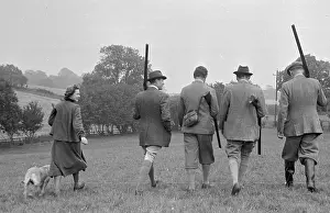 Looking For Partridge