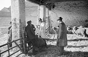 Rebuilding Programme Prints: Looking At Wool