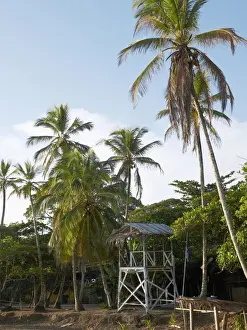 Lookout Tower Prints: Lookout tower, Playa Cocles, Puerto Viejo de Talamanca, Costa Rica, Central America