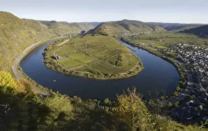 Wine Growing Region Prints: Loop of the Moselle River near Bremm, Rhineland-Palatinate, Germany, Europe