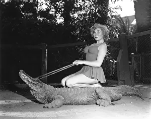 Los Angeles Alligator Farm