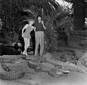 Los Angeles Alligator Farm