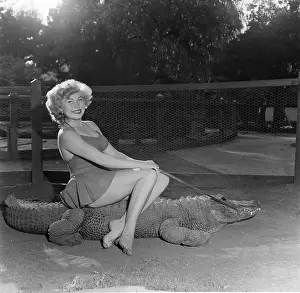 Los Angeles Alligator Farm