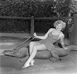 Los Angeles Alligator Farm