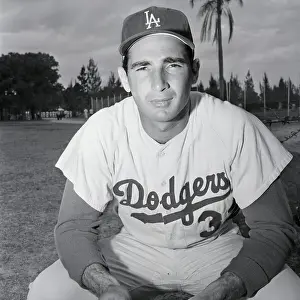 Athletic Field Prints: Los Angeles Dodgers Pitcher Sandy Koufax