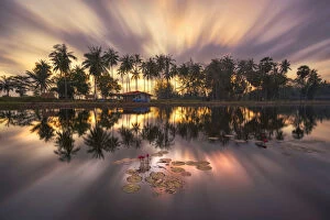 Park Gallery: Lotus pond in Nakhon Si Thammarat, Thailand