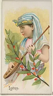 Lotus Trade Card 1891