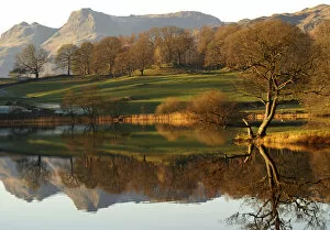 Images Dated 19th December 2007: Loughrigg Tarn