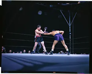 Louis and Conn in Boxing Action