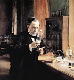 Laboratory Prints: Louis Pasteur In His Laboratory