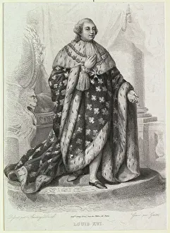 Louis XVI in His Royal Countenance