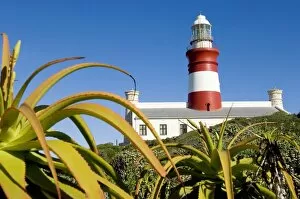 Images Dated 7th May 2006: A Low Angle of a Light House with Aloes in the Foreground