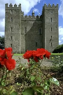 Patriotism Gallery: Low angle view of a castle, Bunratty Castle, Clare, Republic of Ireland