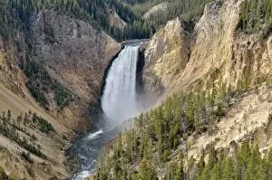 Images Dated 9th October 2011: Lower Falls, view from Lookout Point, Grand Canyon of the Yellowstone River, North Rim