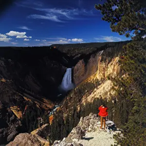 The Lower Falls of Yellowstone