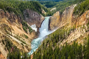 Images Dated 19th June 2012: Lower Falls of Yellowstone National Park