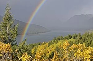 Montana Collection: Lower Two Medicine Lake with rainbow, Glacier National Park, Montana, USA