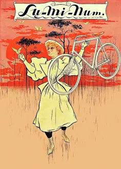 Lu-Mi-Num Bicycle
