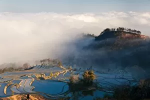 Yunnan Province Collection: Luamadian in Yuanyang