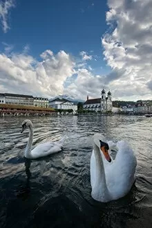 Images Dated 30th June 2014: Lucerne, Switzerland