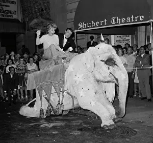 Lucille Ball Sitting on an Elephant