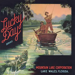 Florida Prints: Lucky Day Brand