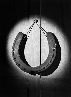 Lucky Horseshoe
