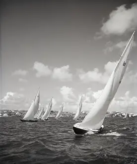 Bermuda Prints: Luder 16 Sailoats Sailing in Competition
