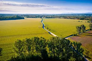 Willow Tree Prints: Luftaufnahmen der Lausitzer Heide- und Teichlandschaft