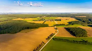 Willow Tree Prints: Luftaufnahmen der Lausitzer Heide- und Teichlandschaft