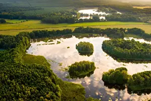 Willow Tree Prints: Luftaufnahmen der Lausitzer Heide- und Teichlandschaft