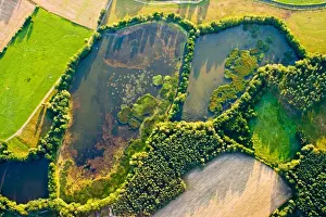 Willow Tree Prints: Luftaufnahmen der Lausitzer Heide- und Teichlandschaft