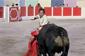 Matador Prints: Luis Miguel Dominguin Fighting Bull