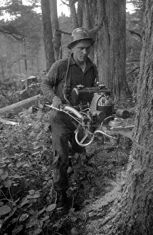 Roles And Occu Prints: Lumberjack