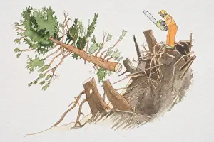 Cutting Prints: Lumberjack in orange suit standing next to tree stump holding electric saw