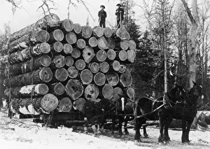 Huty 16882 Prints: Lumberjacks