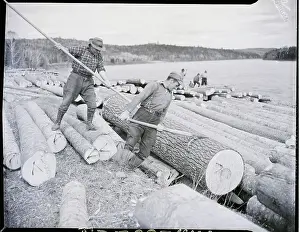 Maine Prints: Two Lumberjacks Roll Logs Into River