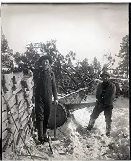 Lumberjacks Standing By Tree