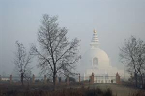 Images Dated 19th July 2014: Lumbini stupa