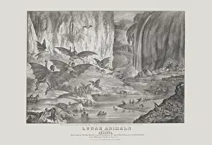 Lunar Prints: Lunar animals and other objects
