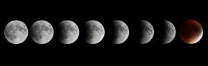 Spectacular Blood Moon Art Gallery: Lunar Eclipse and Blood Moon