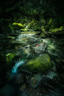 Images Dated 10th December 2012: Lush and green cascade scenery