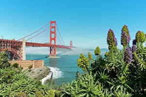 Tourist Attraction Collection: Lush vegetation in front of the Golden Gate Bridge, San Francisco, California