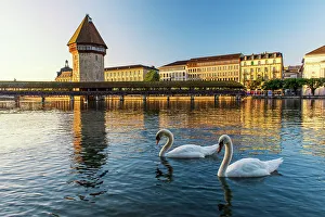 Swimming Gallery: Luzern, Switzerland