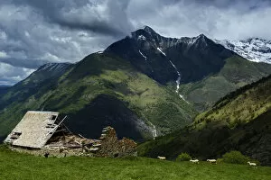 Images Dated 21st May 2015: Lyses valley, national park of Pyrenees, Hautes Pyrenees, France