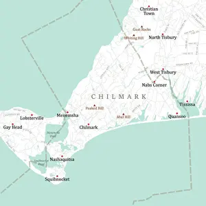 Dukes Prints: MA Dukes Chilmark Vector Road Map